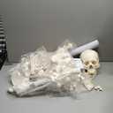 Houseables Disarticulated Human Skeleton, Human Skeleton Model for Anatomy, Anatomy Model, Anatomically Correct, Physiology Bones, Skeletal System, Full Life Size, Anatomical, Study, Class, 62 Height