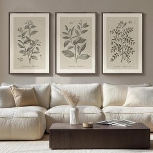 Large Framed Botanical Wall Art for Living Room, 3 Piece Neutral Plant Canvas Painting Prints Artwork for Walls, Vintage Floral illustration Pictures for Farmhouse Bedroom Kitchen Wall Decor, 20x30