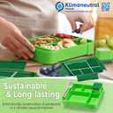 My Vesperbox Lite  Mini Lite - Kids Bento Lunch Box  Extra Durable Lunchbox for Toddlers and School  Leakproof, Child-Friendly, Ideal for Daycare, Preschool & Elementary School (Lite - Green - 23x17,5x5cm)
