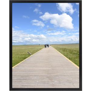 16x20 Picture Frame Black 1 Pack, Scratch-Proof Poster Frames 16 x 20 for Photo Gallery - Slide-In Strips, Horizontal or Vertical Wall Mounting