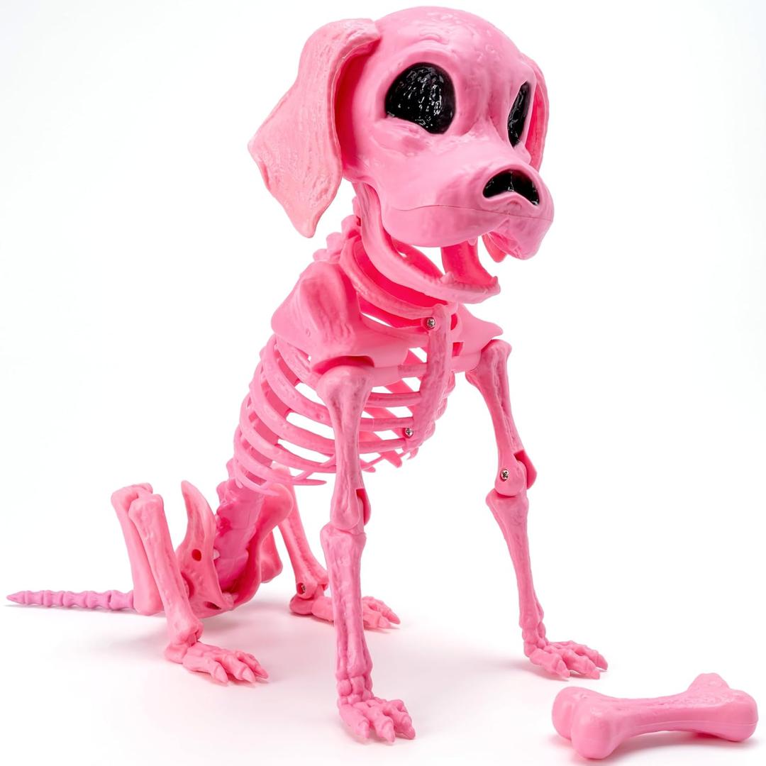 JOYIN Posable Dog Skeleton Halloween Decoration Full Body Movable Joints Realistic Skeleton Puppy for Indoor Outdoor Graveyard Party Haunted House Party Decor(9.8 X 4.7 X 12.6)