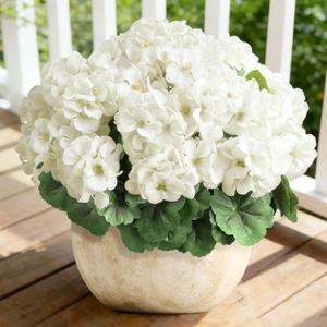 Artificial Geraniums Flowers for Outdoors, 4 Bundles Fake Silk Flowers, UV Resistant, White, for Home Gardens Planter Patio Balcony Table Spring Decor