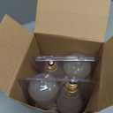 LED Edison Bulb, 25W Equivalent, Soft Warm 2700K, Frosted Glass, Dimmable, 2 Watt E26 Standard Base ST21 LED Bulbs, 4 Pack