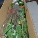 Briful 4ft Artificial Hibiscus Tree 2 Pcs, Fake Tropical Potted Plant