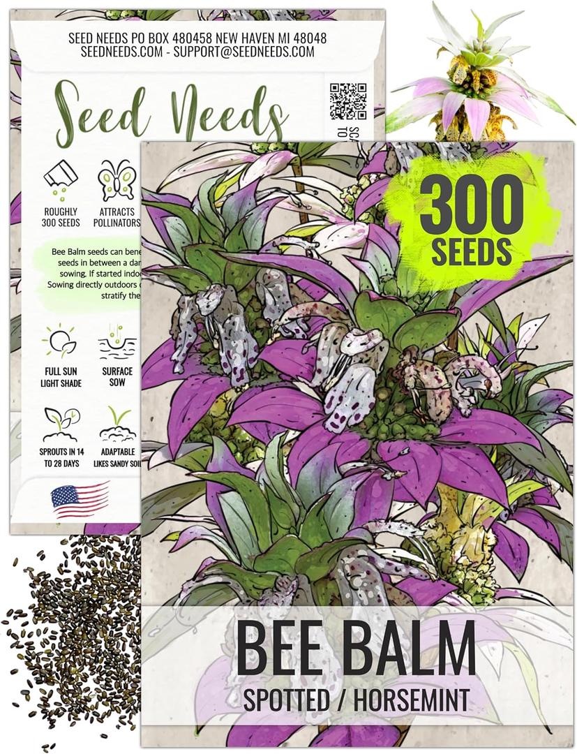 10 x Seed Needs Spotted Bee Balm Seeds to Plant Horsemint Flowers/Herbs 1 Pack