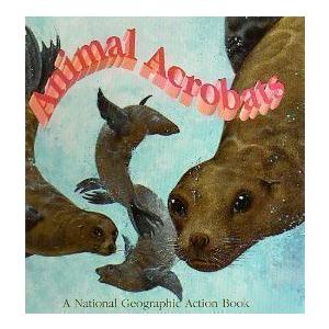 Pop-Up: Animal Acrobats