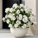 Uqueeten Artificial Flowers for Outdoors Artificial Geranium,Fake Flower White Geranium Artificial Plant Home Decor,Silk Geraniums Realistic Outdoor Flower Fake Plant Decoration 14.4" (White) 8PCS