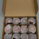 Brown Glass Christmas Ball Ornaments for Tree, 2.36 Christmas Hanging Ornaments Set of 12 Xmas Baubles for Holiday Party Xmas Tree Decorations Gifts