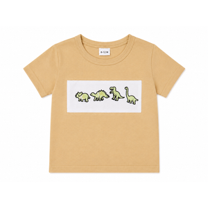 Toddler Baby Boy Clothes Dinosaur Embroidered Print Short Sleeve T-Shirt Elastic Striped Shorts Set 2 Piece Summer Outfits, 6-12M