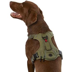 KONG Ultra Durable Waste Bag Harness (Medium, Green)