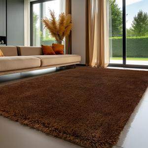 Sour Lemon Area Rugs 9x12 Living Room Bedroom, Large Fluffy Shag Brown