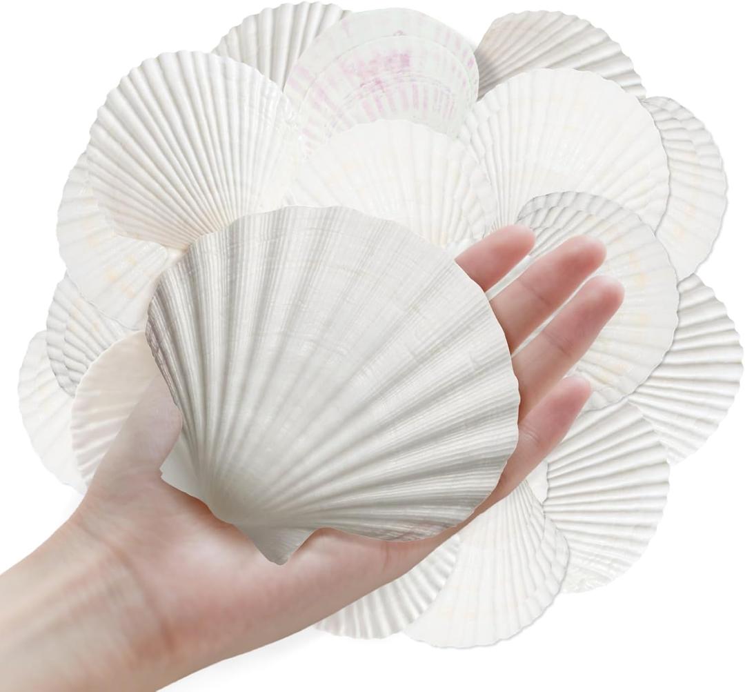 10Pcs 4-5 Sea Shells Natural Scallop for Crafts - DIY Jewelry Holder Large Painting Beach Decorations Ocean Themed Sea Party Wedding Shell Bowl