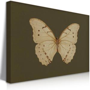 QMWIDKL Vintage Green White Butterfly Wall Art - Cottagecore Retro Nature Picture Prints Ready to Hang (12x16 inch)