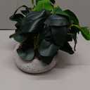 K&Y Realistic Artificial Potted Plants Olive Wild Fern Berry Decor Low Maintenance Faux Greenery Indoor Fake Plants for Home Office Bathroom Kitchen Desk Shelf (Gray Flowerpot Potted Plant)