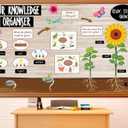 2 x Summer Classroom Bulletin Board Decoration Back to School Bulletin Board Set Frog Butterfly Life Cycle Science Posters Sunflower Plant Growth Process Cutouts for Classroom Wall Teacher Supplies, 59.1 inches x 35.4 inches