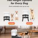 Dog Water Bowl Dispenser for Large Breed with Patent Faucet, 12L/3.2 Gallon