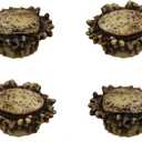 Old River Antler Drawer / Cabinet Knobs (4 Pack) - 2 Sizes of Screws and Washers Included