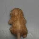 Silicone Reborn Animal Dolls, 5 Inch Soft Lifelike Mini Cat Realistic Cute Toy