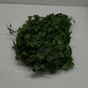 Fake Vines for Room Decor(24Pack168Ft) Aesthetic Artificial Plant Ivy Leaves Hanging Greenery Garlands for Home Bedroom Wall Wedding Christmas Party Office patio Indoor, Outdoor Garden Dcor