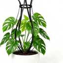 Trellis for Climbing Plants Outdoor, 32" H Obelisk Garden Decor, 14" W x 32" H