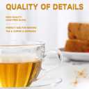 Glass Teacup and Saucer Set, 6 Pack Coffee Mug with Stainless Steel Spoon Suitable for Espresso Juice Cappuccino and More Beverage, 7OZ/210ML, Clear