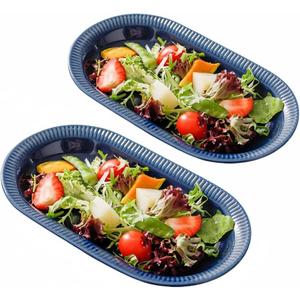 12" Oval Serving Plates, Serving Platter Ceramic Party Serving Trays and Platters Oven Safe, Porcelain Dinner Serving Tray Serving Dishes for Meat, Set of 2(Navy Blue)