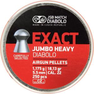 Exact .22 Caliber Air Gun Pellets (1 pack, Jumbo Exact Heavy, 18.1G, 250ct)