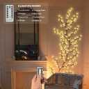 Nialnant Enchanted Willow Vine Lights 7.5 Ft, Vine Light for Bedroom, 144 Led Tree Branch Light for Wall, Timer Lighted Branches for Halloween Christmas Holiday Decor Indoor String Lights (1 PCS)