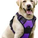Rabbitgoo Dog Harness, No-Pull Pet Harness with 2 Leash Clips, Adjustable Soft Padded Dog Vest, Reflective No-Choke Pet Oxford Vest with Easy Control Handle for Large Dogs, Purple, L