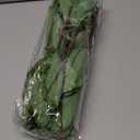 Thiccywoov 8 Pcs Large Christmas Flower Magnolia Flowers Christmas Tree Decoration Artificial Poinsettia Stems Velvet Xmas Ornaments for Xmas Tree Table Decor (Forest Green,12 Inch)