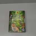 Forest Shuffle Card Game - Create an Ecological Paradise! Clever Strategy Game for Kids & Adults, Ages 10+, 2-5 Players, 60 Min Playtime, ECO-Friendly Packaging, Made by Lookout Games