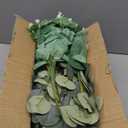 Giegxin 180 Pcs 3 Kinds Mixed Artificial Eucalyptus Leaves Stems Bulk Silver Dollar Leaves Picks Dried Eucalyptus Bundle Faux Spray for Wedding Vase Bouquet Floral Arrangement (Green)