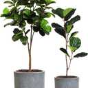 Round Concrete Planter Pot Set of 2, Large Cement Planter Containers with Drainage Hole for Indoor Outdoor Plants,9.3" H & 12.3" H, Slate Gray (8"+10")