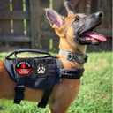 3 x Service Dog Tag, Service Dog Access Required Patch, Hook & Loop for Dog Vest Harness(14) (Medium)