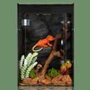 Reptile Tank 12x12x18 Terrarium – PVC Reptile Enclosure for Gecko, Snake, and Lizard – Compact Tree-Dwelling Terrarium for Small Pets