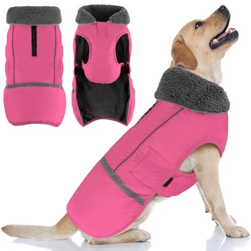 Doglay Dog Coat, Waterproof Dog Jacket Pet Winter Coat for Cold Weather with Thicken Furry Collar, Reflective Puppy Winter Jacket Warm Fleece Lining for Pets, Mool XL