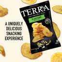 Terra Plantains Real Sea Salt Vegetable Chips 5 oz (5 Ounce (Pack of 1))