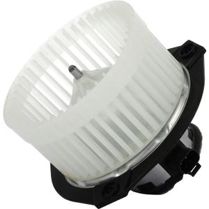 CCIYU 700231 Fit for Chevy Trailblazer/GMC Envoy 2002-2009/2004-2007 for Buick Rainier/2005-2009 for Saab 9-7x AC Heater Blower Motor for Chevrolet Trailblazer/GMC HVAC Blower Motor with Fan Cage