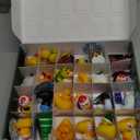 72 Set 24 Pcs Cruise Ducks for Hiding with Tags Random Assortment Rubber Ducks for Cruise Ship with 24 Pcs Cruising Duck Tags Carnival and 24 Pcs Rubber Bands for Swimming Bath Birthday Gifts