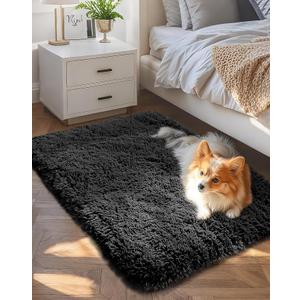 Ophanie 2x3 Black Rugs for College Dorm, Bedroom Small Area Rug, Non-Slip Fluffy Shaggy Bedside Soft Shag Fuzzy Plush Carpet for Kids Boys Teen Home Decor Aesthetic, Nursery