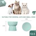 Frewinky Cat Bowls,Ceramic Cat Bowls Anti Vomiting,Raised Food and Water Bowl Set for Cats and Small Dogs,13.5 Oz,Green