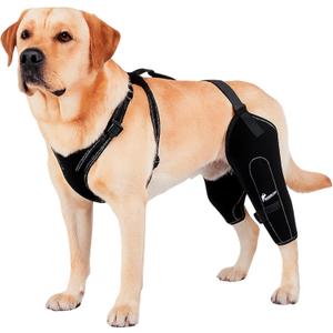 REBORN Dog Double Knee Brace for Torn ACL, CCL & Luxating Patella, Adjustable Back Leg Support & Recovery, Hind Leg Brace for Stability, Arthritis, Injury & Joint Pain Relief, Medium