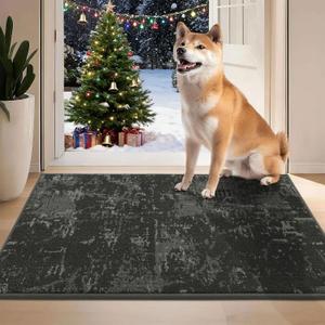 BEQHAUSE Dirt Trapper Door Mat 24" x 36", Non-Slip Doormats Washable Entryway Rugs, Stain Resistant Dog Door Mats Absorbent Welcome Floor Mat for Front Back Door, Mud Wet Shoes & Paws, Dark Grey