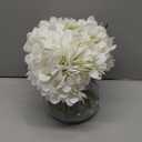 Hollyone Hydrangea Artificial Flowers with Vase White Silk Fake Flowers Arrangements in Glass Vase with Faux Water for Home Bathroom Office Table Centerpiece Shelf Decorations