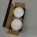 2PCS LED Flame Light, USB Rechargeable Flame Lamp with Remote & Timer, Waterproof Dimmable Flameless Candles Light for Home Party Garden Camping Halloween Christmas Decoration