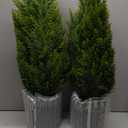 3.5ft Artificial Topiary Trees Set of 2 Faux Cedar Trees UV Resistant Bushes Potted Plants Artificial Shrubs for Outdoor Indoor Front Porch Garden