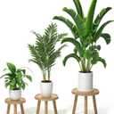 3-Pack Wood Plant Stands Indoor, Single Plant Stand for 6-12 Inch Pots, Mid-Century Modern Plant Stool, Tall Plant Stand for Large Plants for Living Room, Balcony, Office (Light Brown (light burnt color)