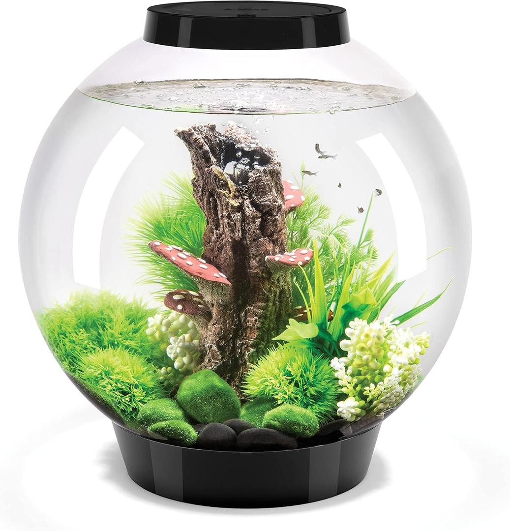 biOrb Classic 30 Acrylic 8-Gallon Aquarium with White LED Lights Modern Tank for Tabletop Display, Black
