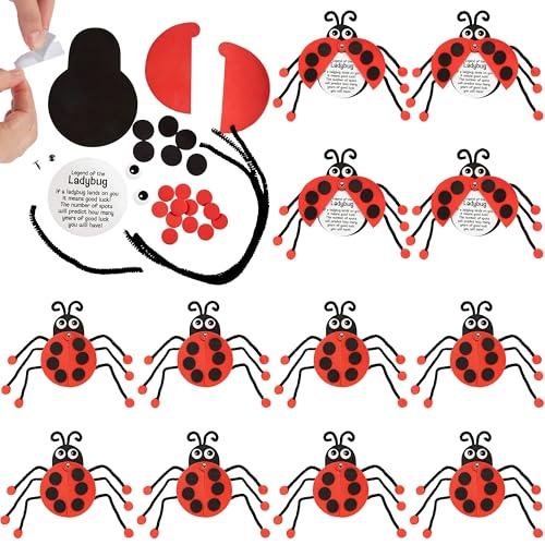 Fun Express Legend of Ladybug Craft Kit - Fun DIY Craft Activity Kids Ideal Parties Events Classroom Activities & Group Fun Easy to Assemble Encourages Creativity – Perfect Craft Lovers - 12 Pieces