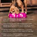 Caru - Real Turkey Stew For Dogs, Natural Adult Wet Dog Food With Added Vitamins And Minerals, Free From Grain, Wheat And Gluten (12.5 Oz) (EXP 01/21/26)